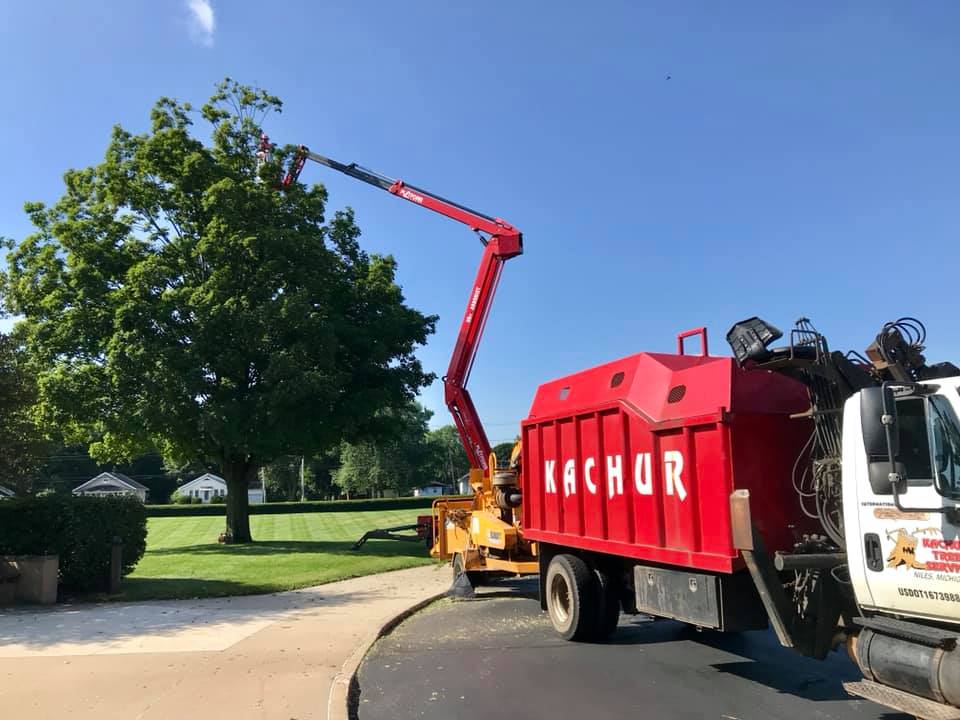 Kachur Tree Service - Truck