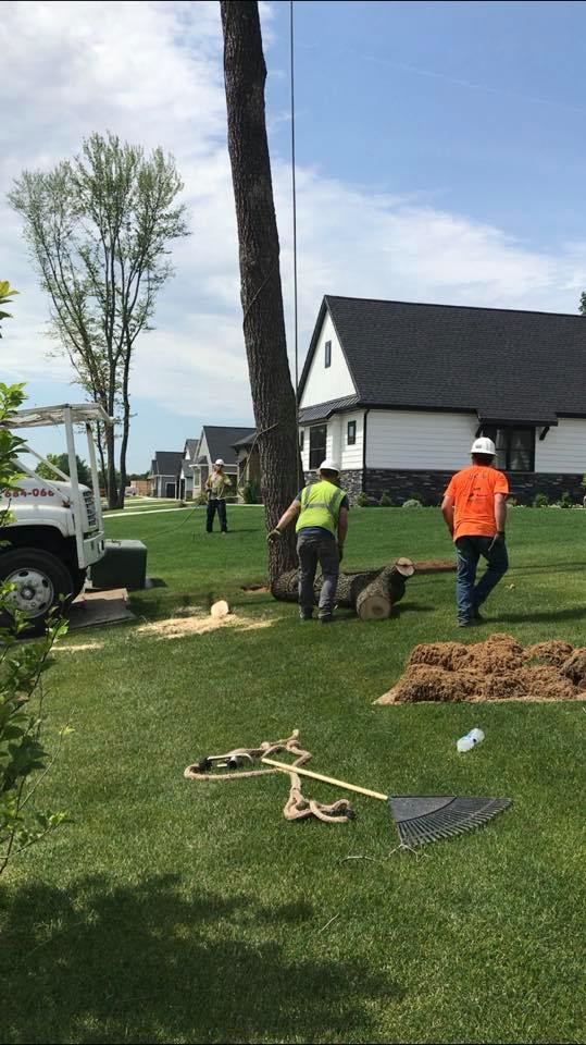 Gallery – Kachur Tree Service